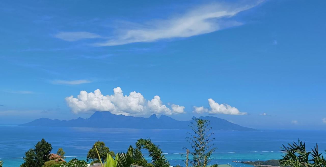 Studio Confort Avec Piscine Et Vue Tahiti Punaauia Extérieur photo