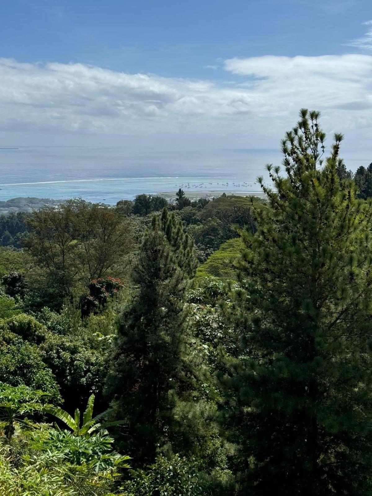 Studio Confort Avec Piscine Et Vue Tahiti Punaauia Extérieur photo
