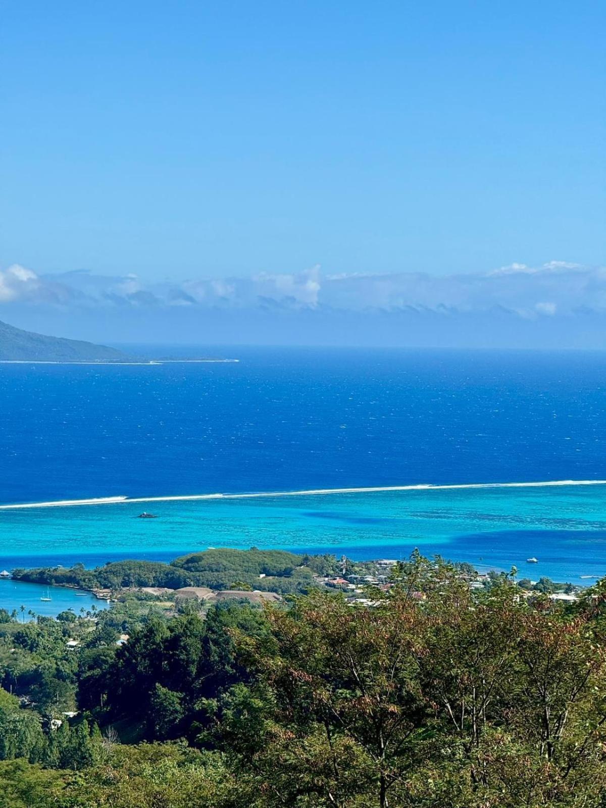 Studio Confort Avec Piscine Et Vue Tahiti Punaauia Extérieur photo