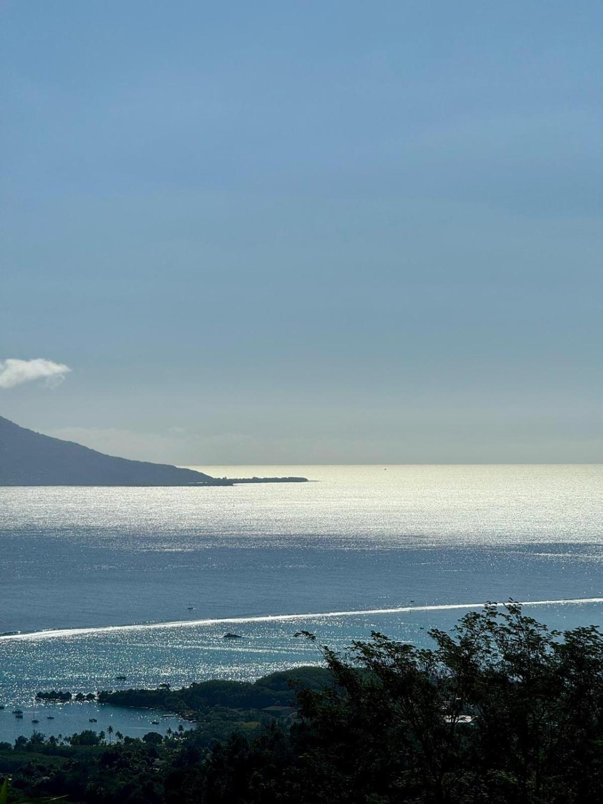 Studio Confort Avec Piscine Et Vue Tahiti Punaauia Extérieur photo