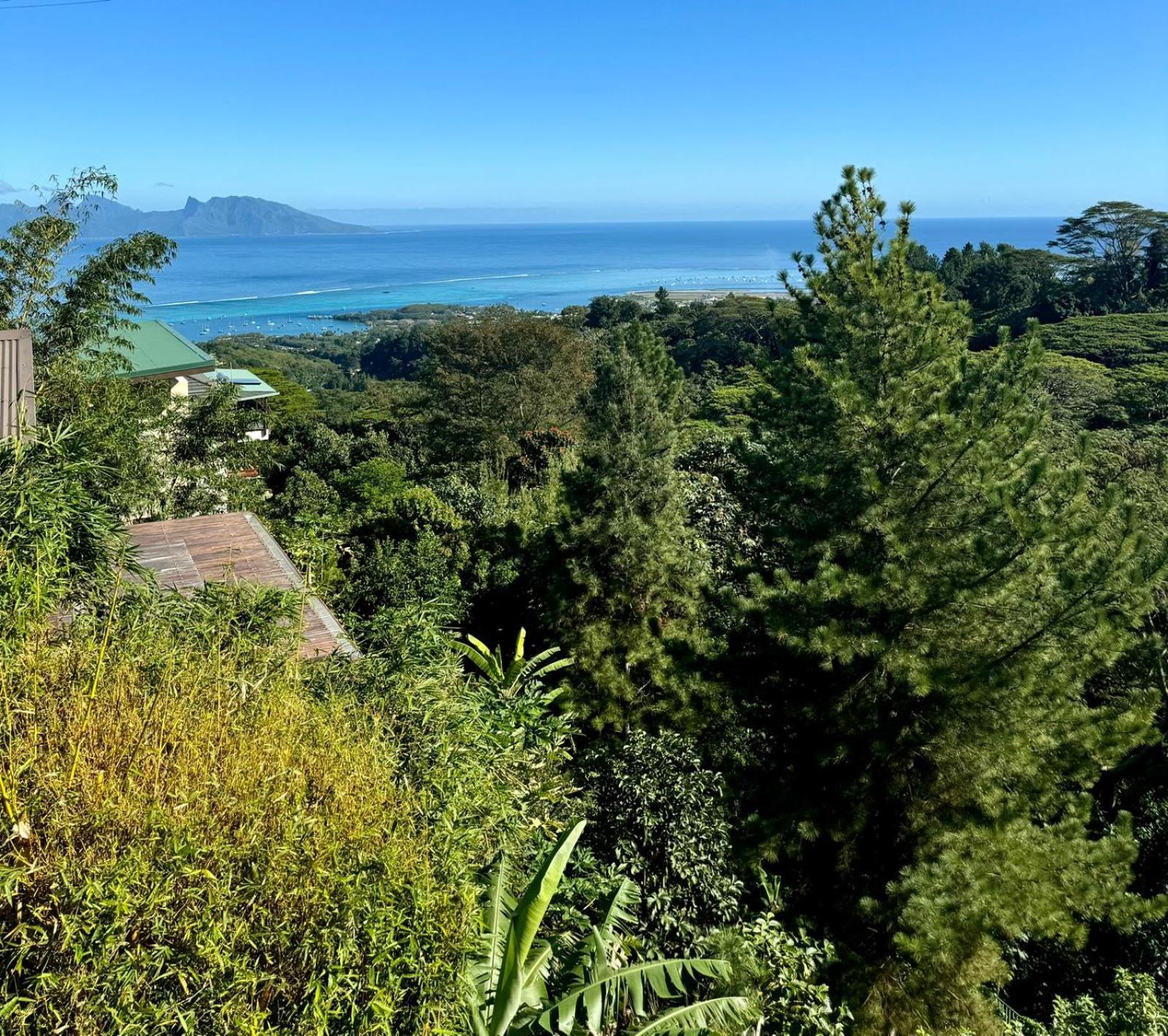 Studio Confort Avec Piscine Et Vue Tahiti Punaauia Extérieur photo